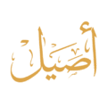 Aseel_Logo
